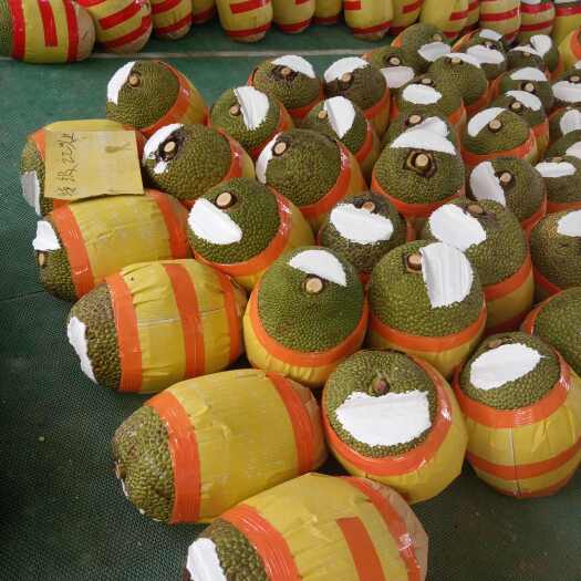 保亭县泰八红肉菠萝蜜 供应市场 社区团购 对接全国