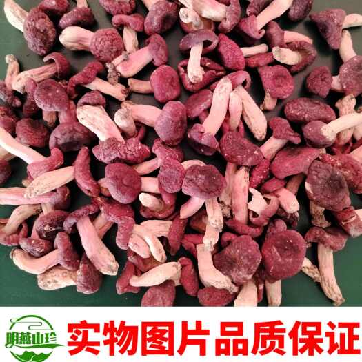 野生红菇干货深山特产精选红蘑菇菇蕾一斤起批包邮