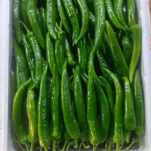南宁螺丝椒