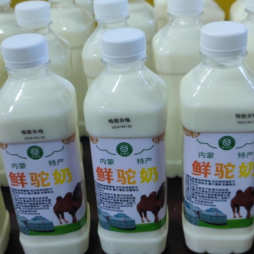 杭锦后旗骆驼奶1斤1瓶包邮 草原鲜驼奶 天天现挤纯奶 牧场直