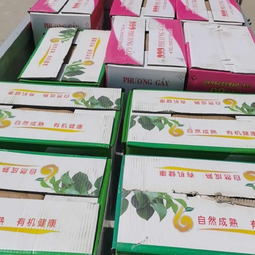 赵县雪花梨