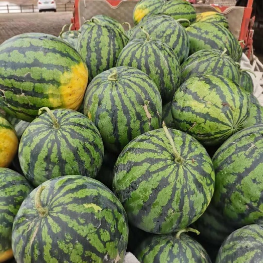 南宁广西甜王