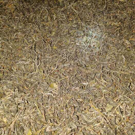 永德县云南永德古树纯手工绿茶春茶