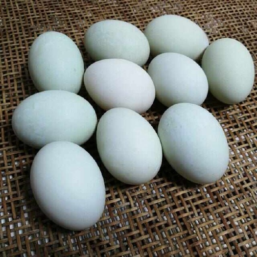 金华鸭蛋
