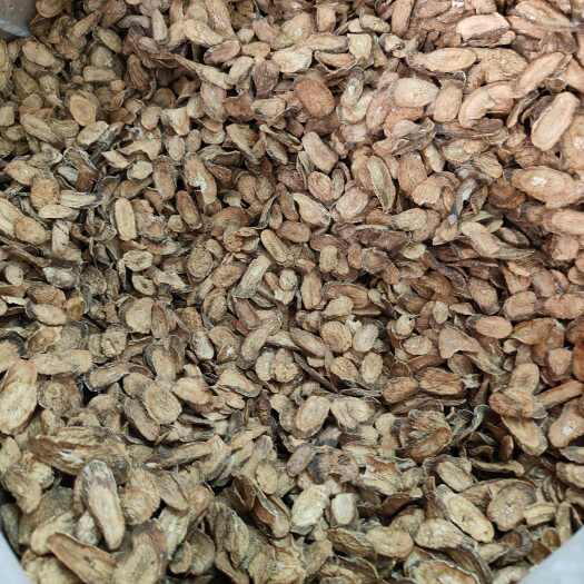 玉林牛蒡根牛蒡根茶牛蒡片量大从优