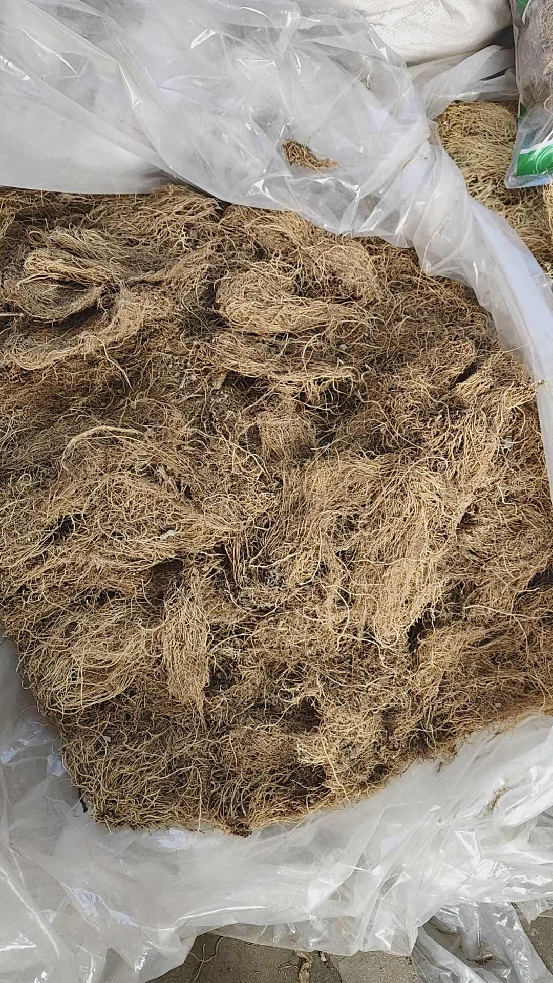 北细辛  细辛个子 去头去尾切的