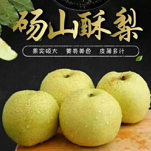 砀山县砀山酥梨产地供应，货源充足，全国代发。