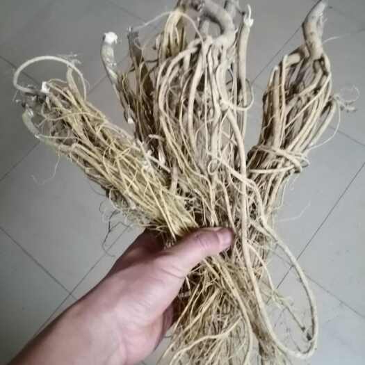始兴县石参根猫尾草虎尾轮根干货自家种植无硫自晒晾干客家靓汤料底药材