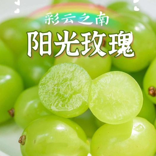 京东空运包邮~云南红河晴王阳光玫瑰葡萄