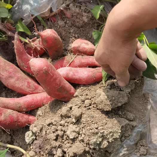 汕头保证无虫洞