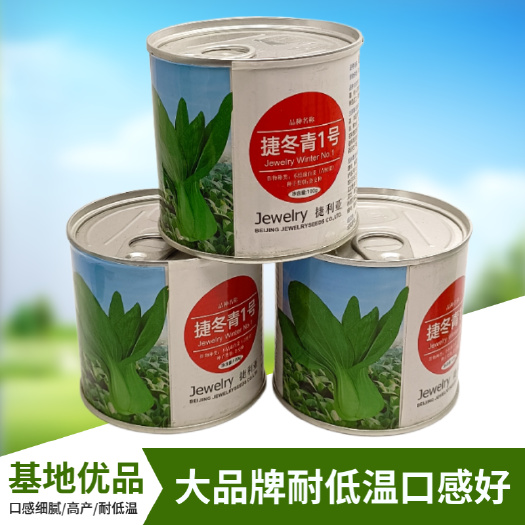 鸡毛菜种子种籽四季小白菜青菜油菜上海青蔬菜菜籽菜种孑大全籽种