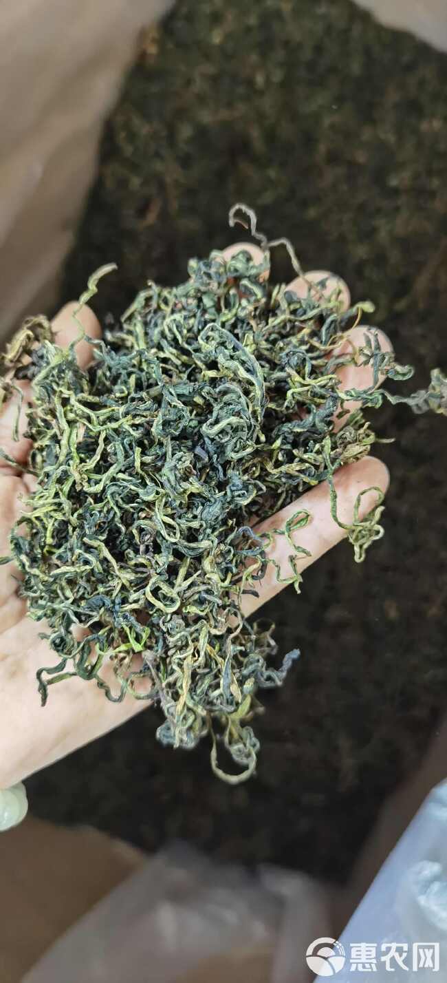 蒲公英茶 优质新货蒲公英茶 无硫干货 批发蒲公英茶