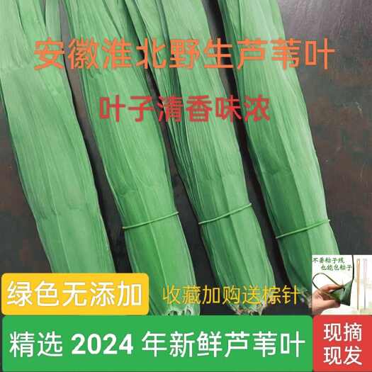 宿州芦苇叶粽叶批发支持一件代发