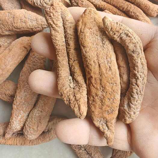 50头黄茄参海参干货肉厚淡干海参