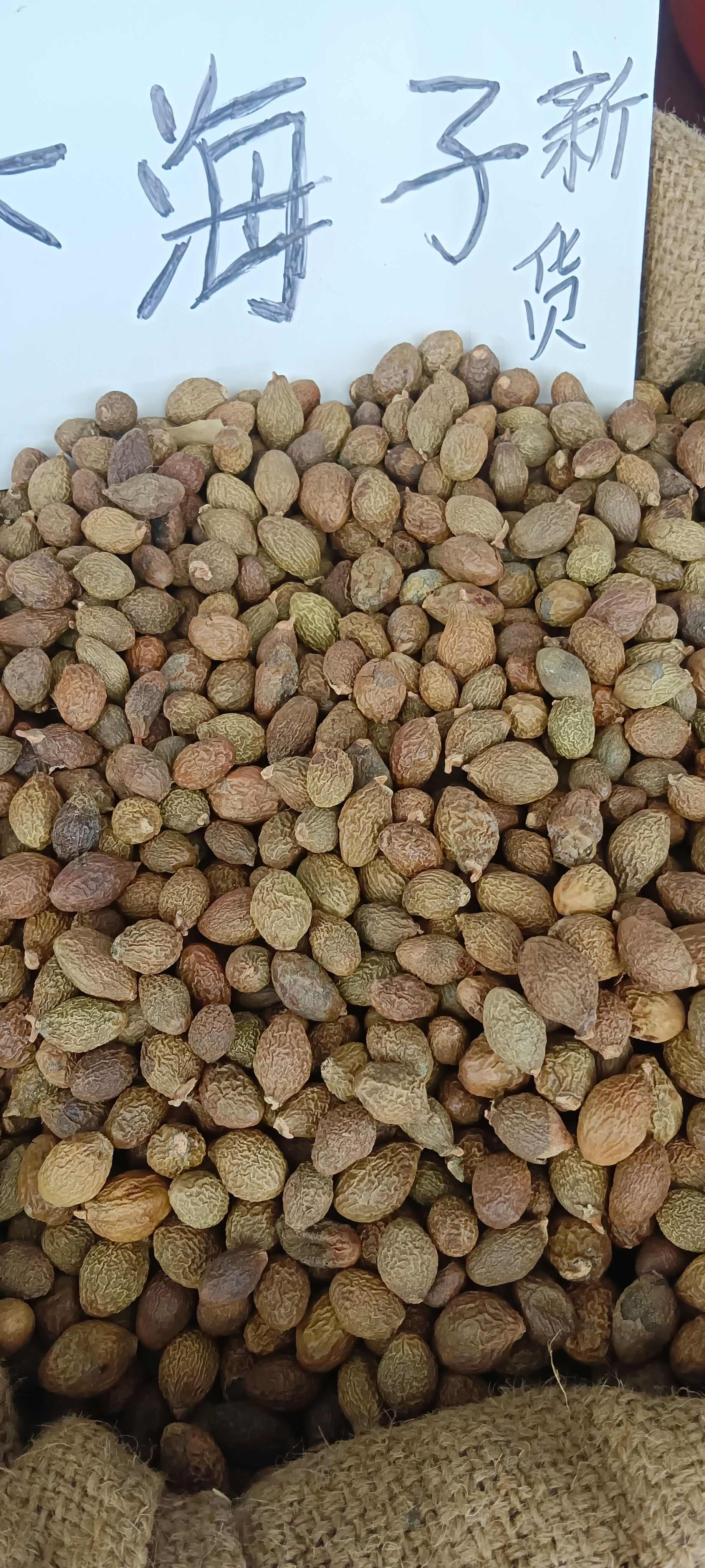 胖大海，大海子，中药材胖大海，源头厂家直销，