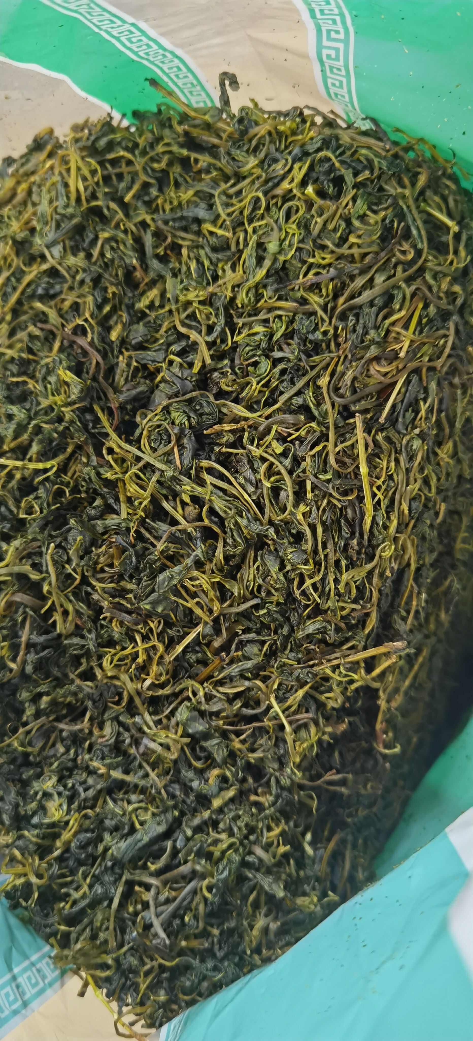 批发小叶苦丁茶 优质苦丁茶 产地货源 量大从优