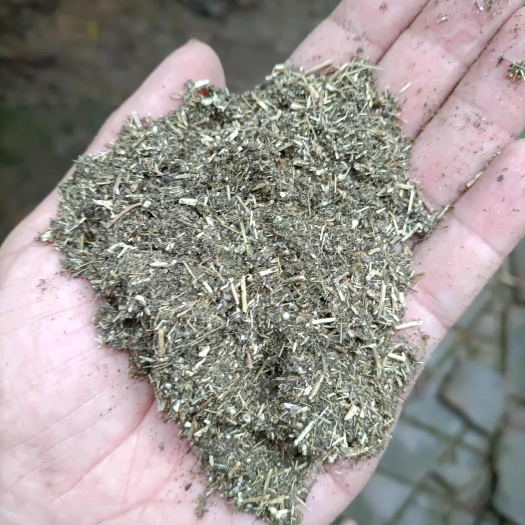 宁阳县销售艾粉艾条工厂纯艾叶提取艾粉艾渣