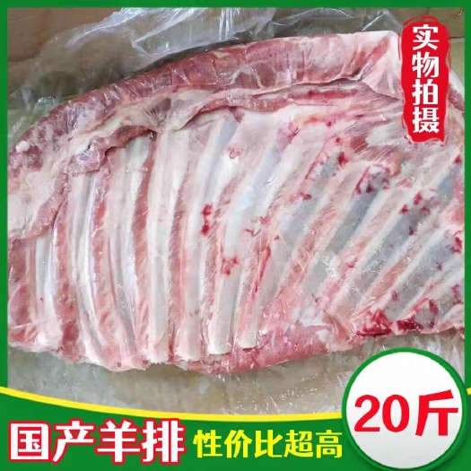 南京新鲜冷冻羊排羔羊排羊肋排9.5公斤烧烤锅仔红烧食材羊肉半成品