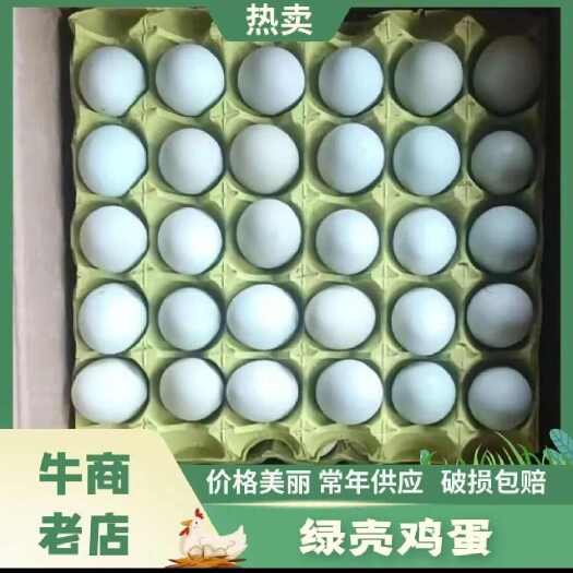 精品双色绿壳蛋 源头厂家 产地直发 双色到位 富硒无抗