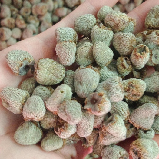 覆盆子，中药材覆盆子，源头好货，新货