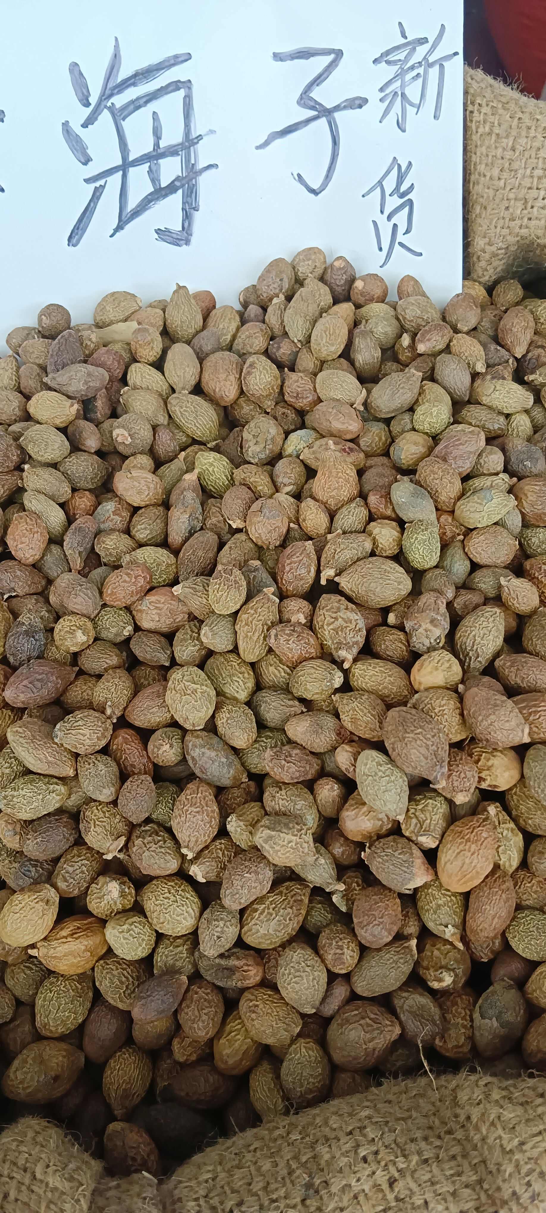 胖大海，大海子，中药材胖大海，源头厂家直销，