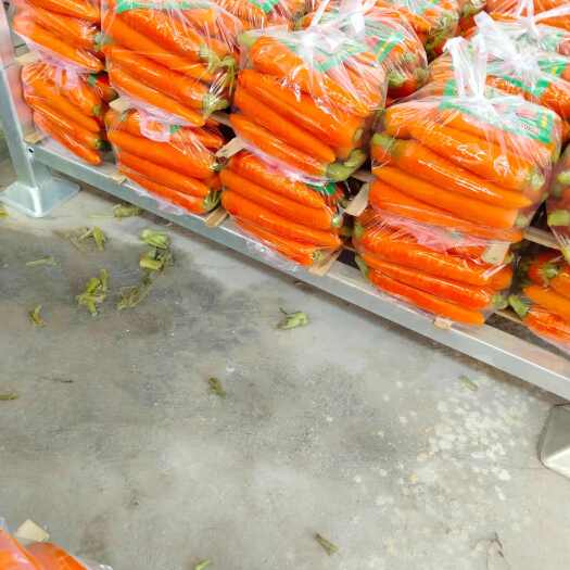 萧县安徽萧县大棚新鲜胡萝卜，土萝卜，水洗，大头。小条，中条，