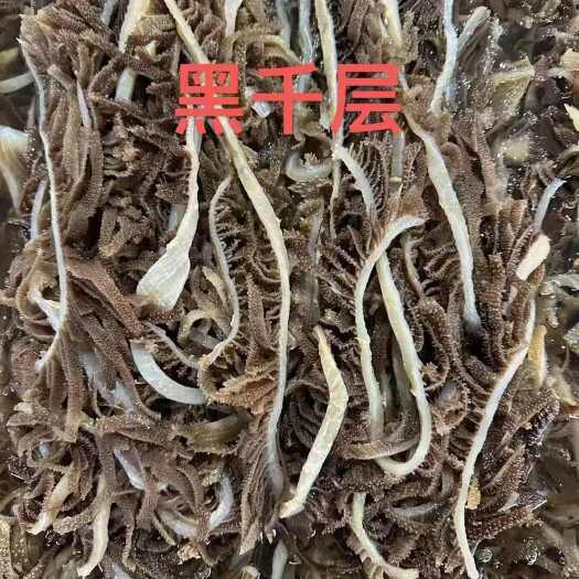 火锅食材毛肚新鲜毛肚，本千