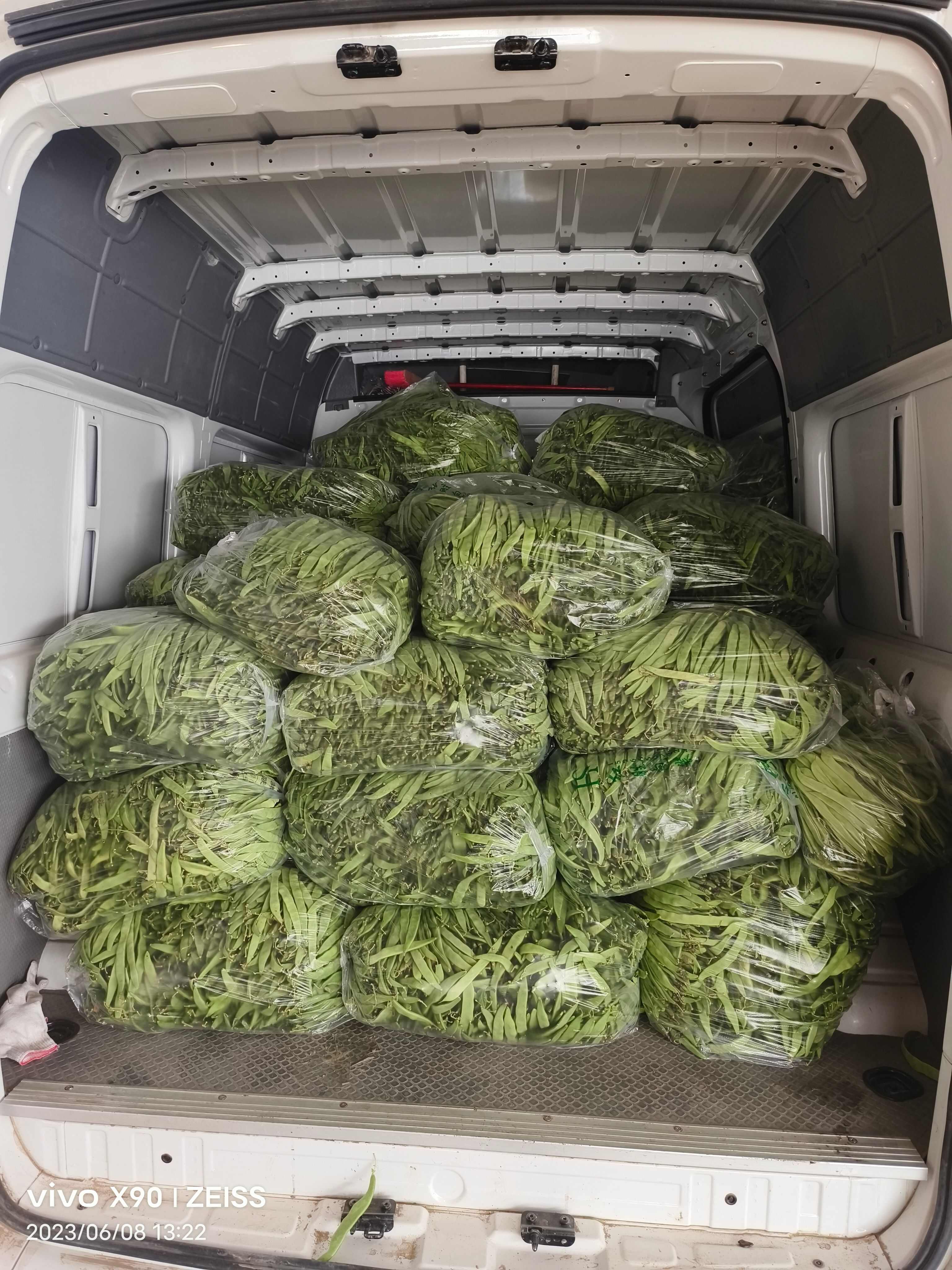 精品芸豆大量有货