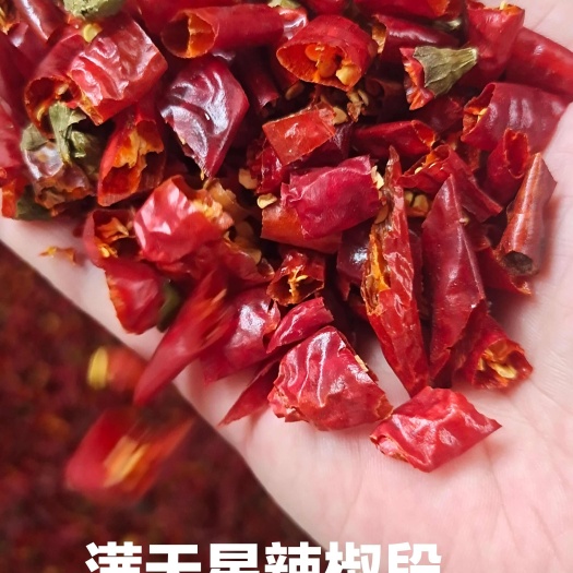 遵义满天星、二荆条、石柱红、子弹头、魔鬼辣椒段 辣椒节子