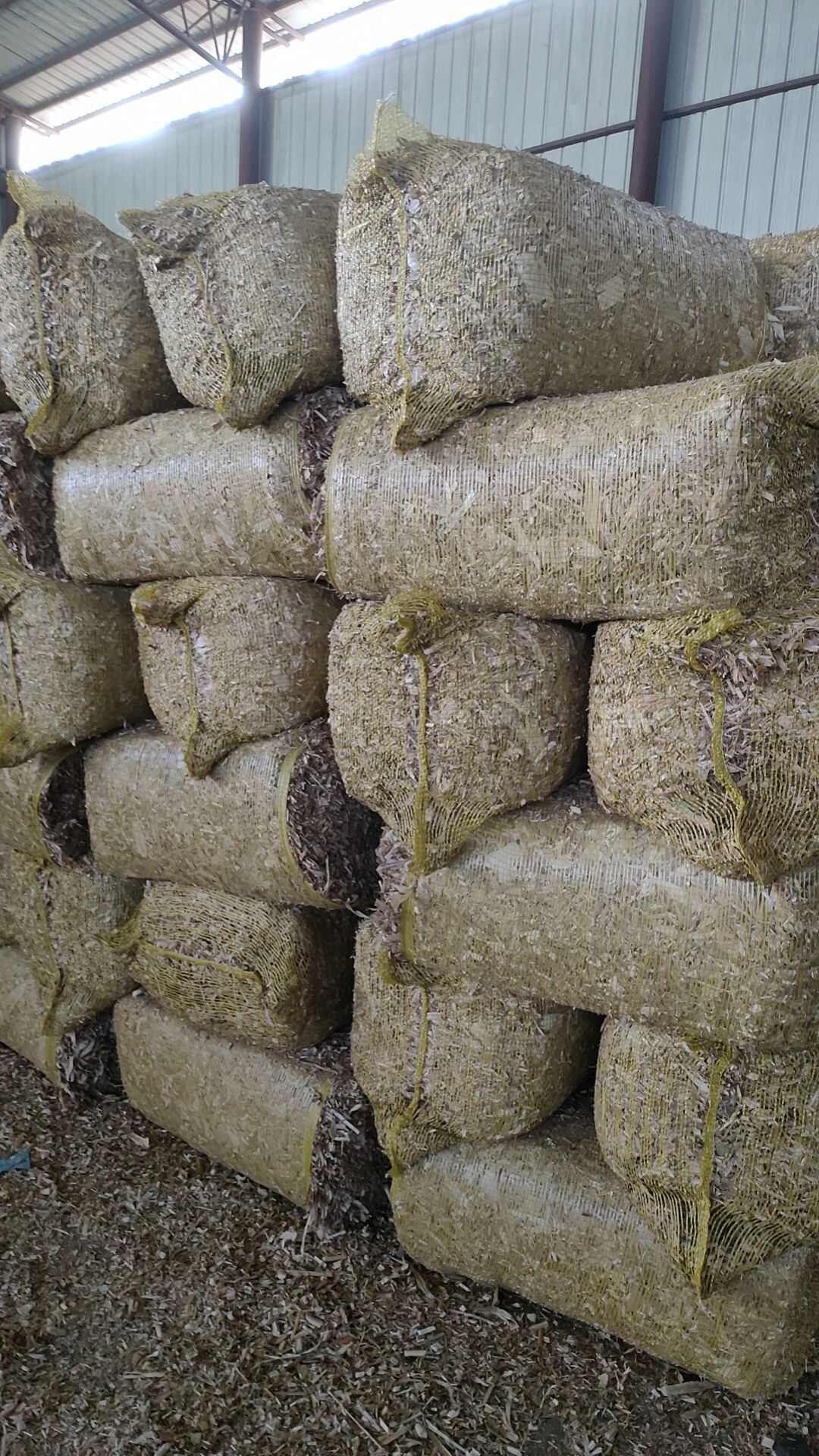 诈段玉米秸秆