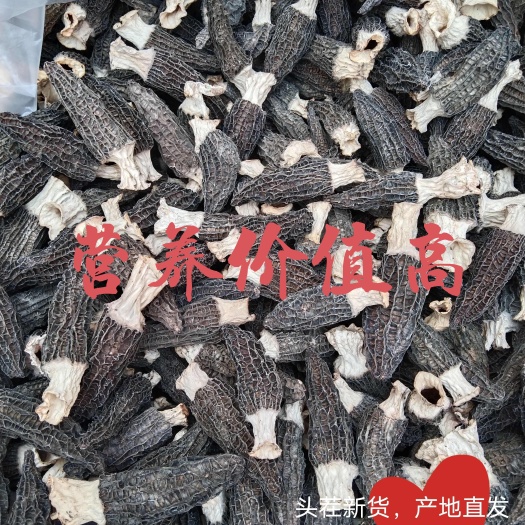 邢台精选正品云南羊肚菌特选干货煲汤食材农家特产滋补养生批发价包邮