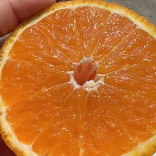  青见