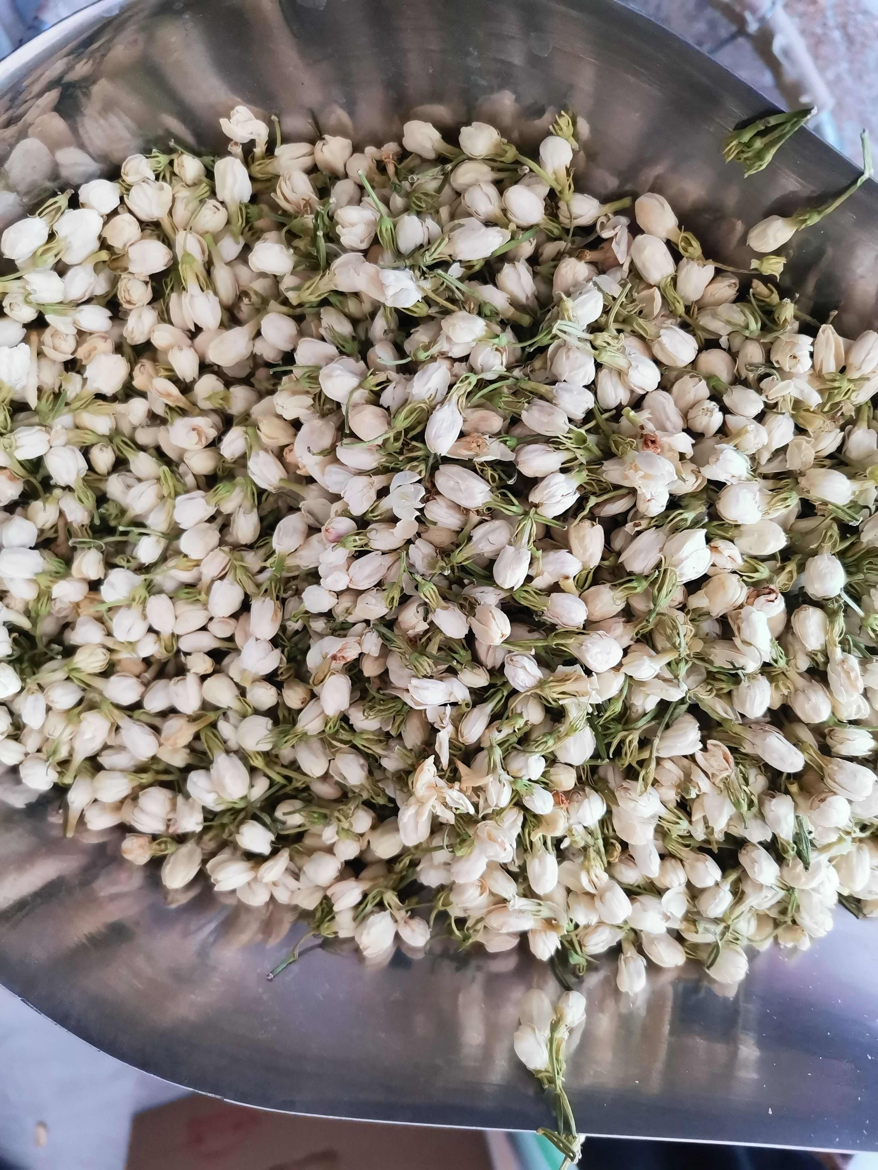 茉莉花茶 无硫茉莉花【假一赔十】
