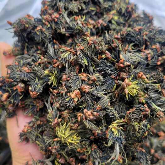 宁强县完整花朵杜仲雄花，量大从优