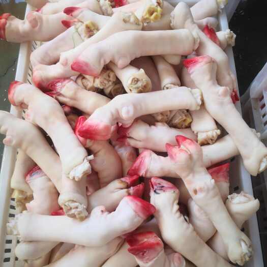 菏泽求购小号育肥毛蹄