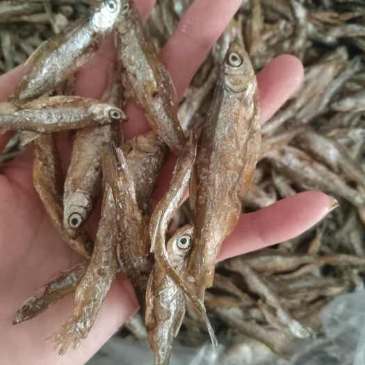 广州广东广州从化区特产新鲜白条鱼干水产加工零食