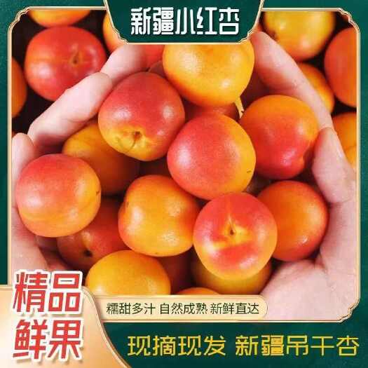 伊宁市新疆伊犁小红杏（鲜果）