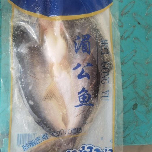 青岛湄公鱼开背鱼巴沙鱼清江鱼鮰鱼