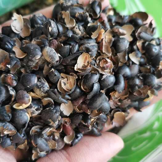 亳州黑豆衣 白豆衣【假一赔十】