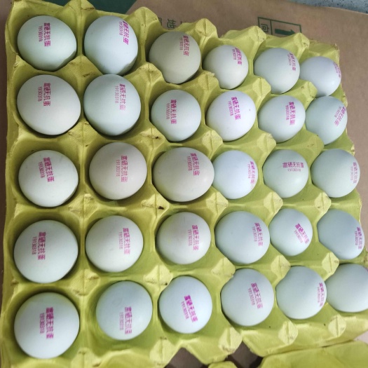 富硒无抗绿壳蛋 自家养殖 精心挑选 货源充足 引流甄选