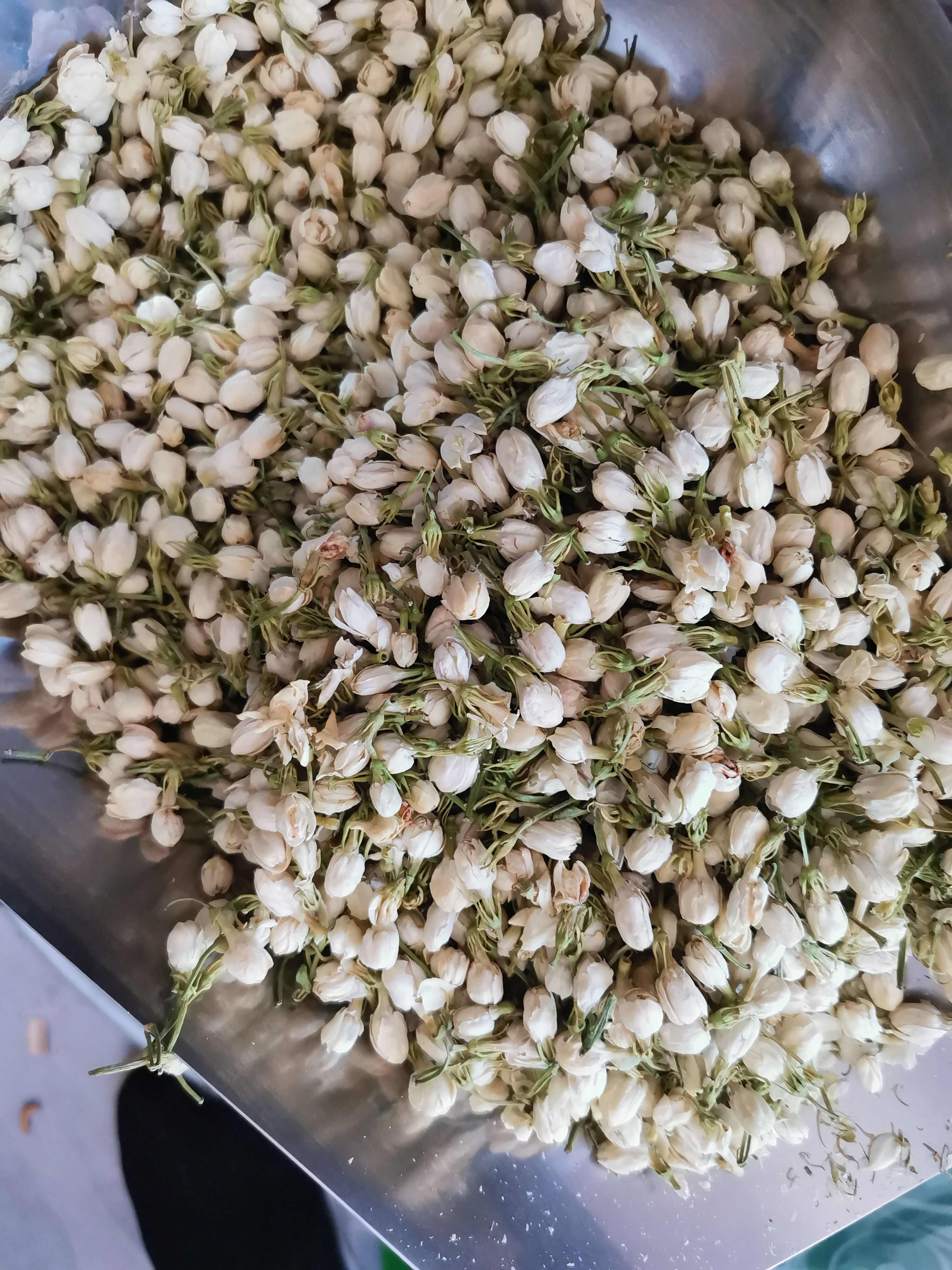 茉莉花茶 无硫茉莉花【假一赔十】