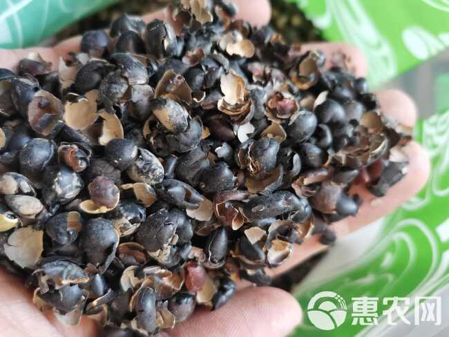 黑豆衣 白豆衣【假一赔十】