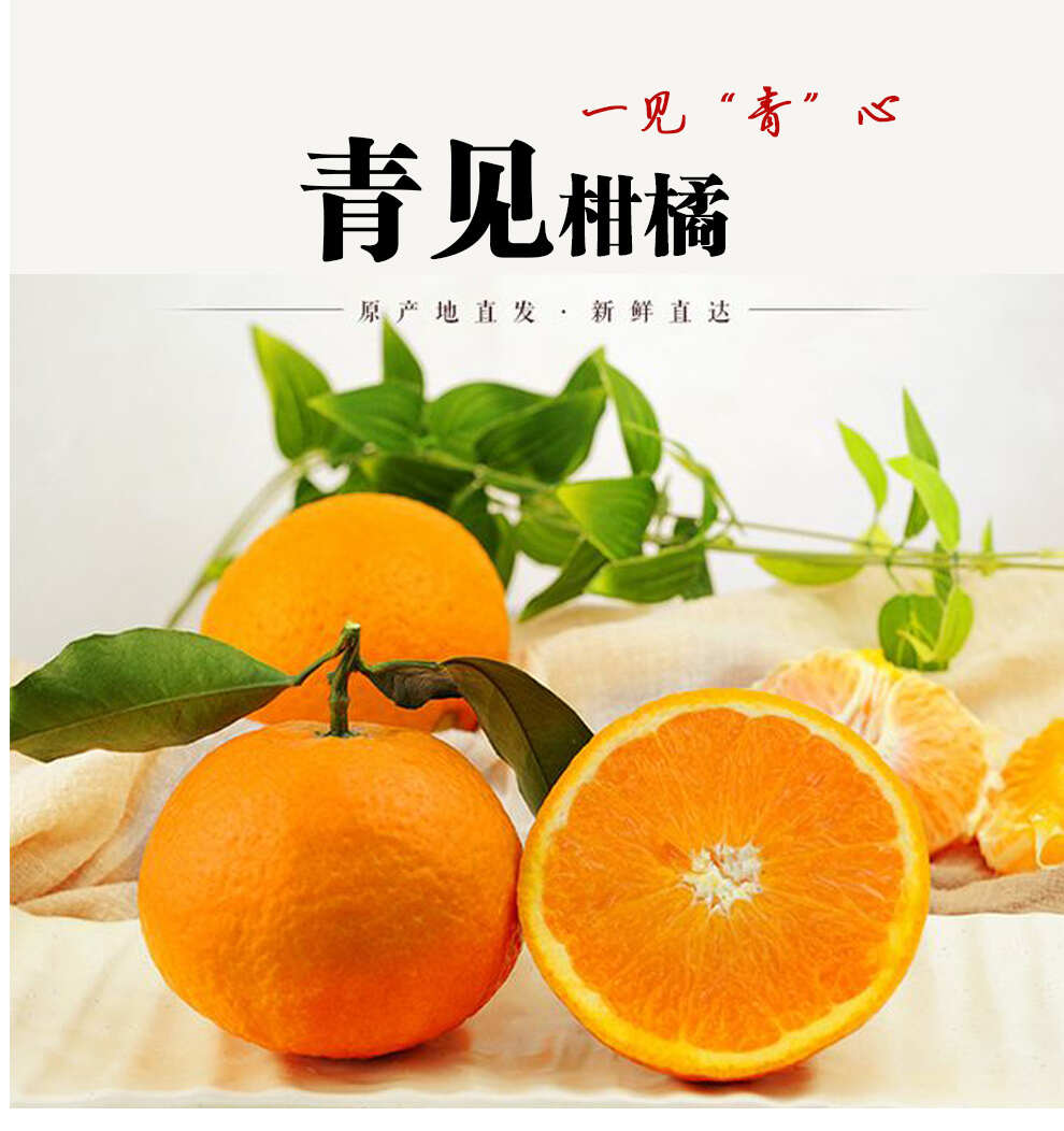 瀑汁青见果冻橙套袋优质果基地直发