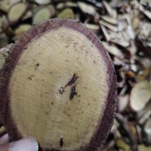 飞龙掌血，又叫见血飞，三百棒干品切片