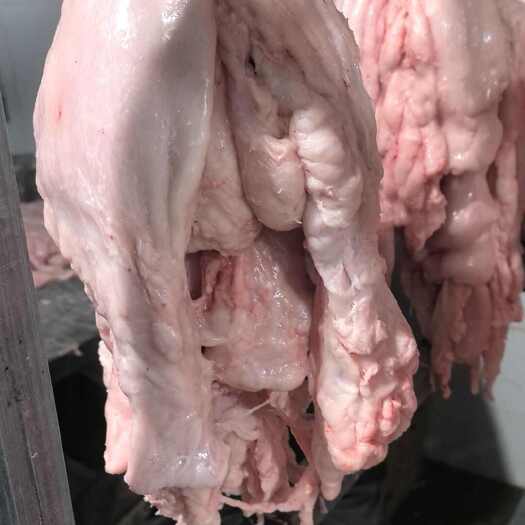 猪板油  吊挂板油