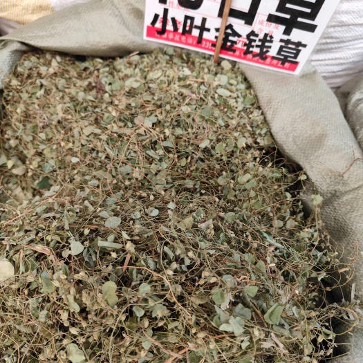 小叶金钱草中草药干货落地金钱草