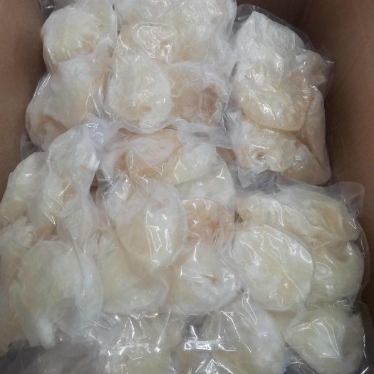 佛山金钩翅鱼翅
