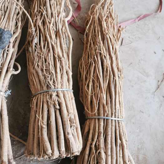 黄芪通货个子干货