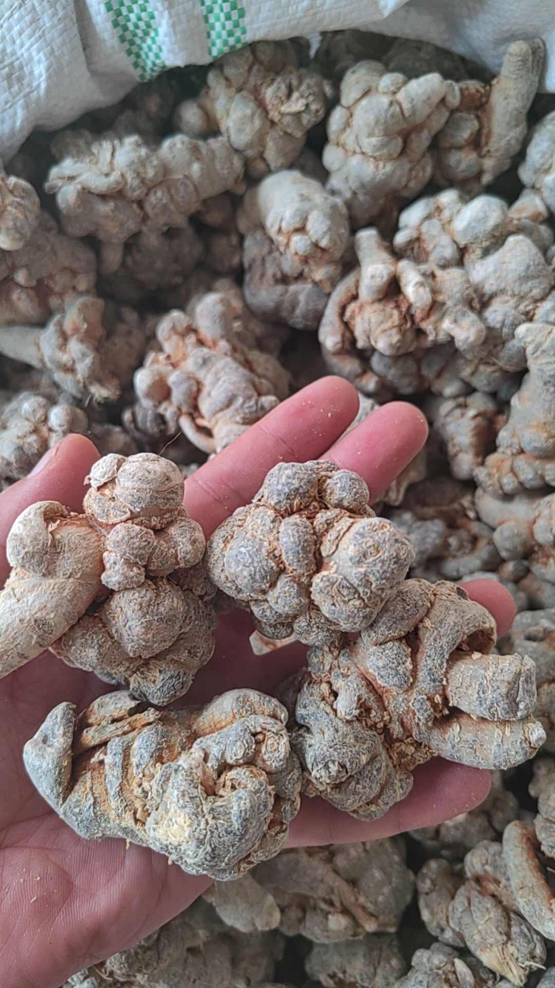 云南文山三七粉配养生高品质三七粉【罐装】