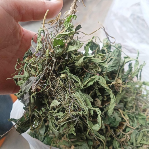 南召县干紫花地丁批发3斤起批零售批发